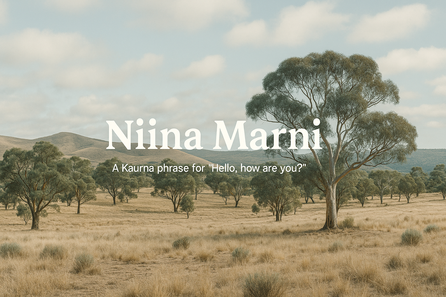 Kaurna Country Landscape