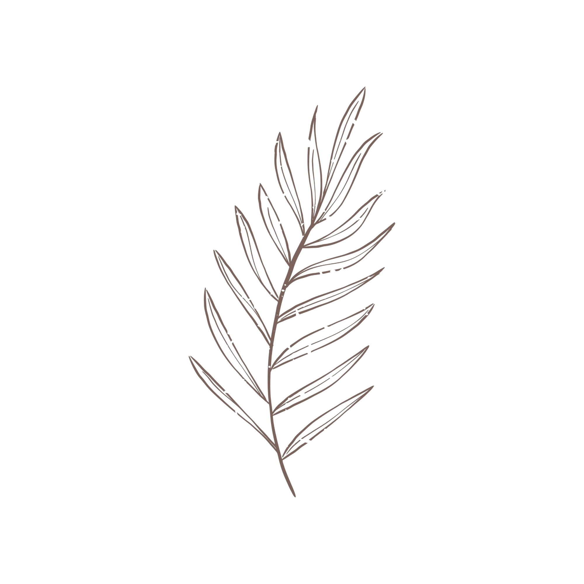 Decorative Plant Right